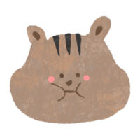 りす先生