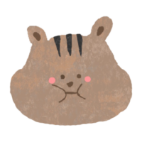 りすせんせい